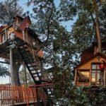 3+ Casas del Arbol Interesantes en Quetzaltenango