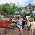Llamas de los Cuchumatanes